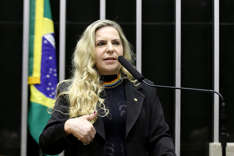 Luizianne promove seminário sobre feminicídio em Fortaleza durante os 20 anos da Lei Maria da Penha