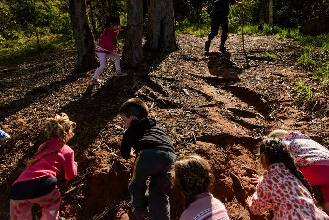 ECA Ambiental: Senado aprova projeto que garante direito de crianças e adolescentes à natureza