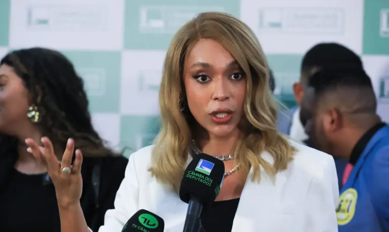 Postagem de Erika Hilton sobre Nossa Senhora Aparecida é liberada por Mendonça